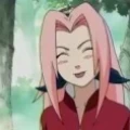 Avatar: sakura-chan