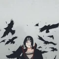 Avatar: Lupra29